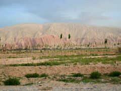 06 Eroded Red Hills Next To Village From Highway 219 Just After Leaving Karghilik Yecheng.jpg